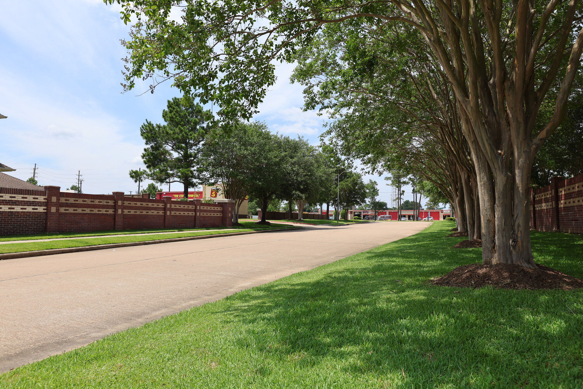 Tree-lined common area turf reviewed for RFP scope