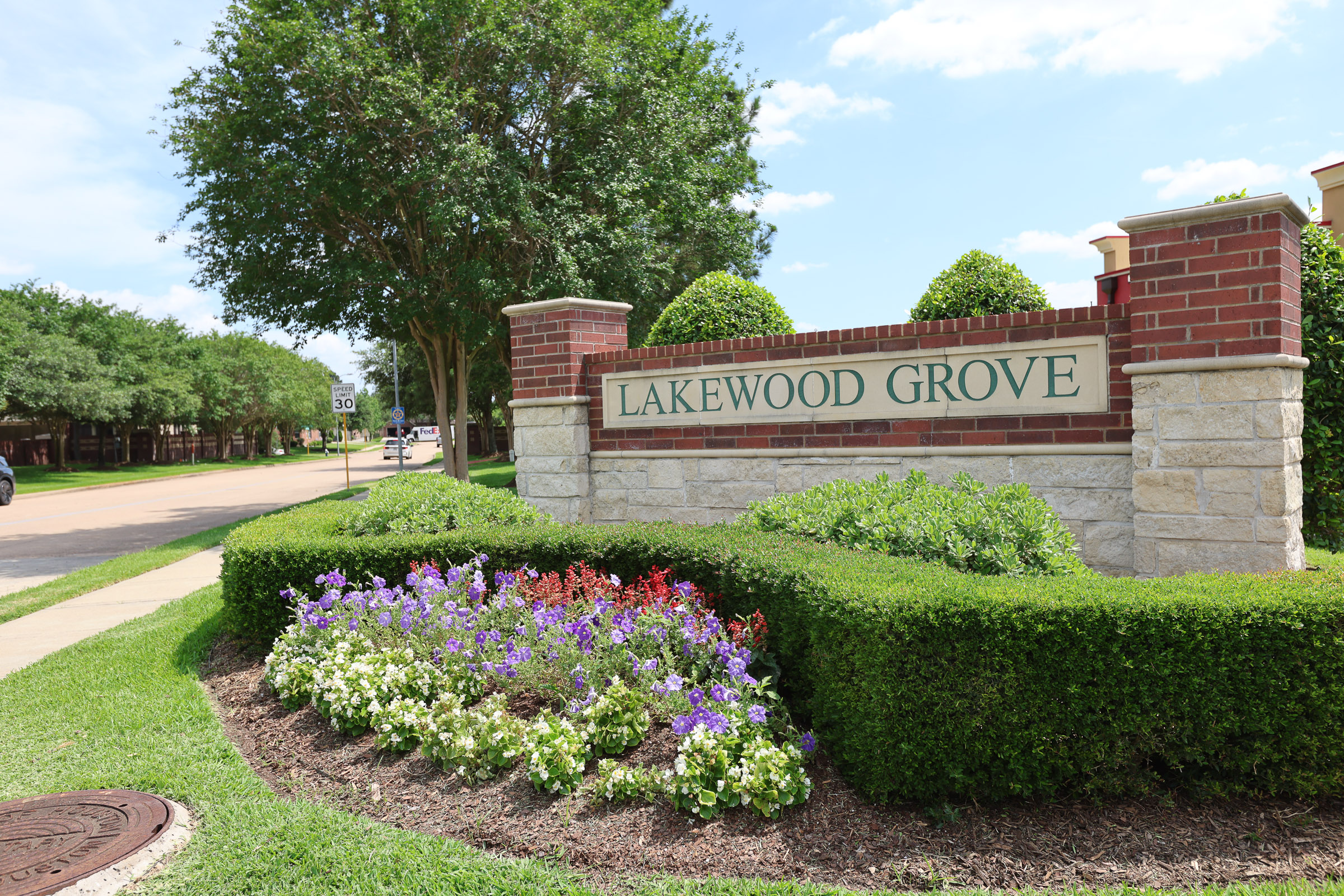 Maintained HOA common area landscape