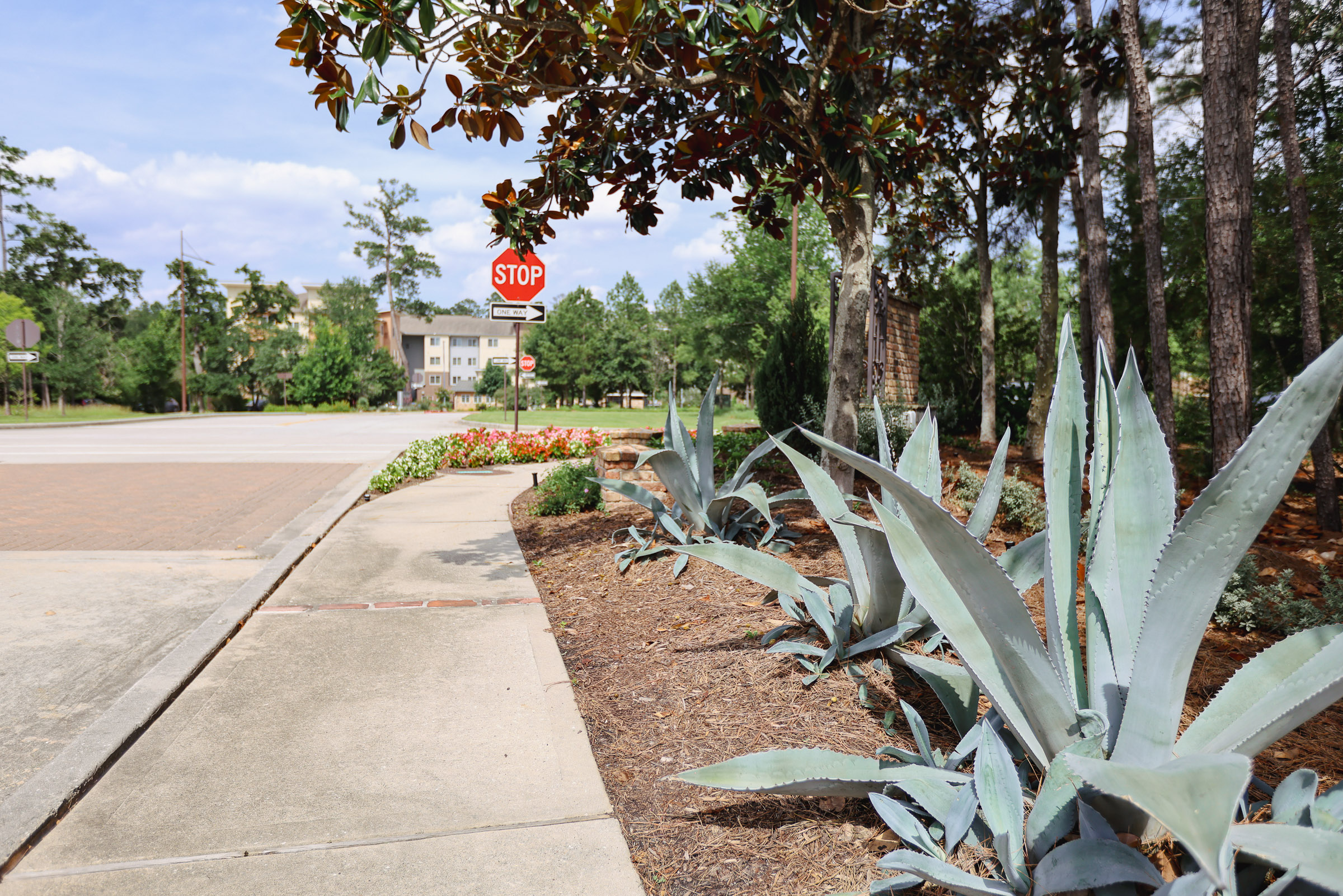 Entrance planting bed beside a maintained sidewalk