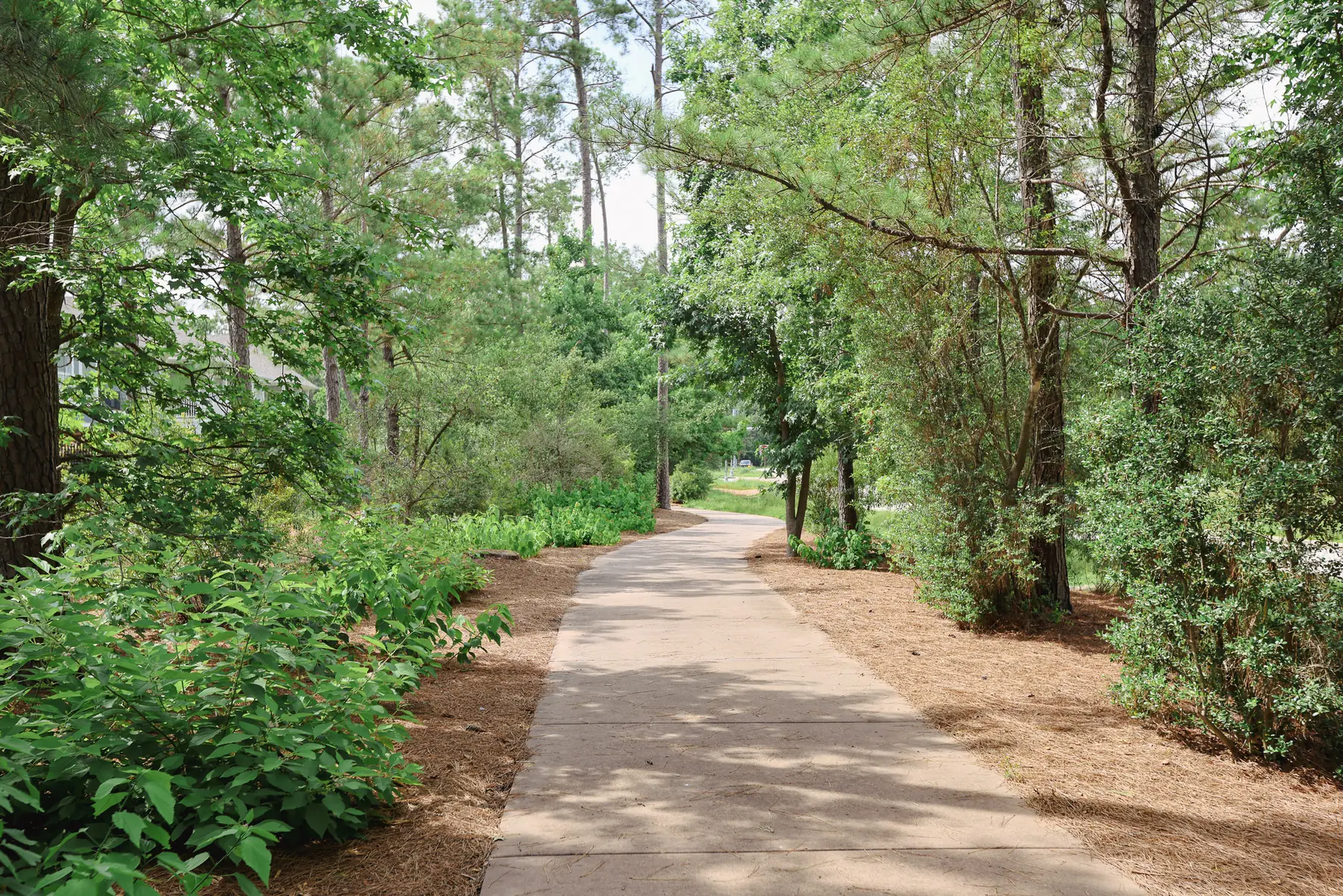 Shaded walkway through planted common area beds in a Houston community