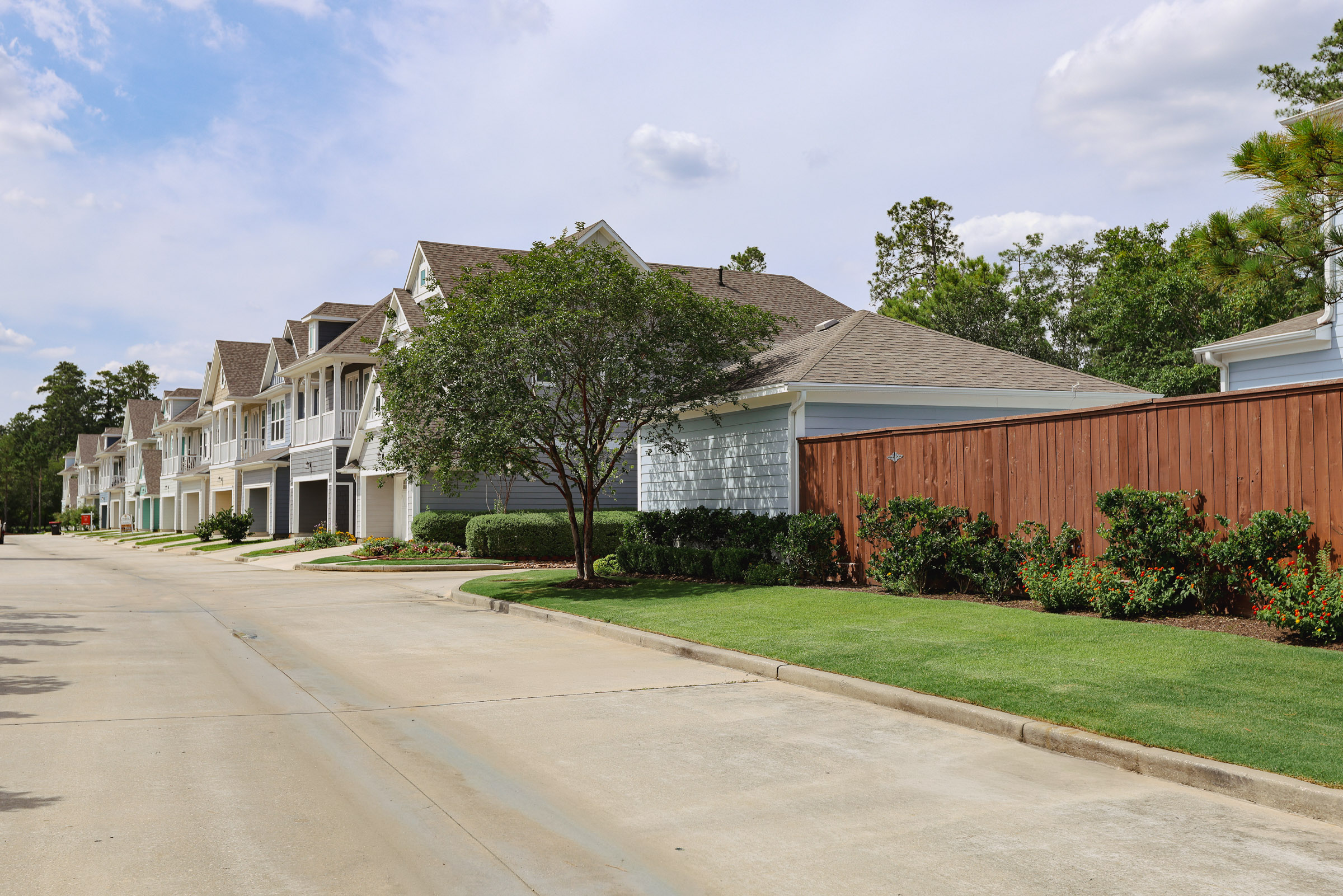 Multifamily street landscaping with maintained shrubs and turf