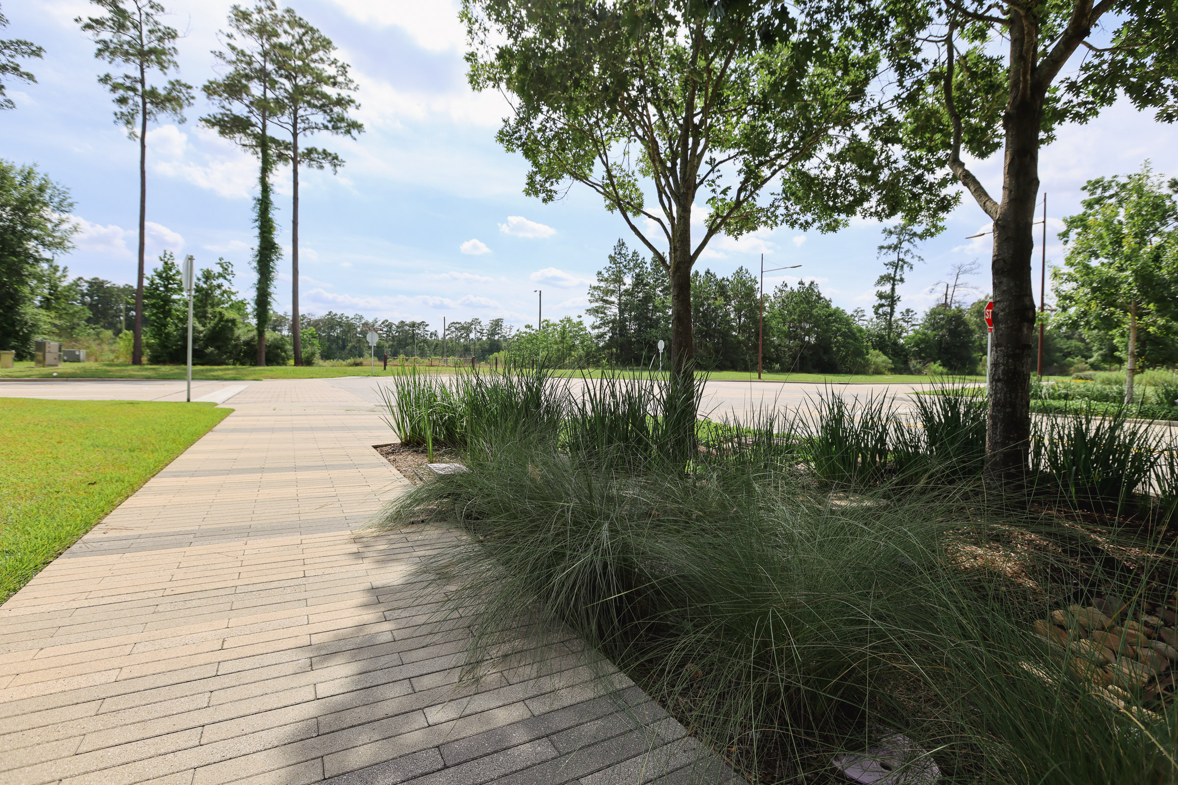 Houston multifamily common area landscaping