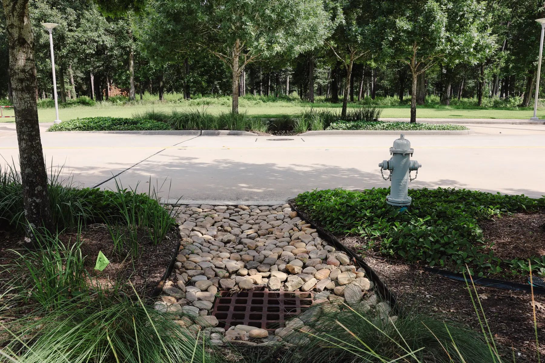 Rock bed around a storm drain in a landscaped common area