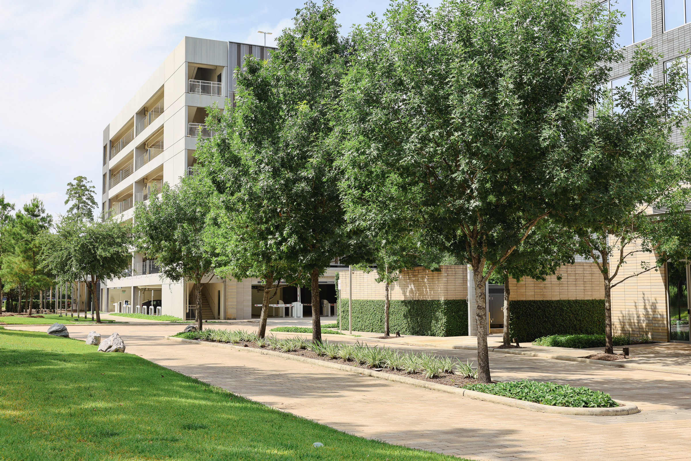 Maintained office and business park landscape