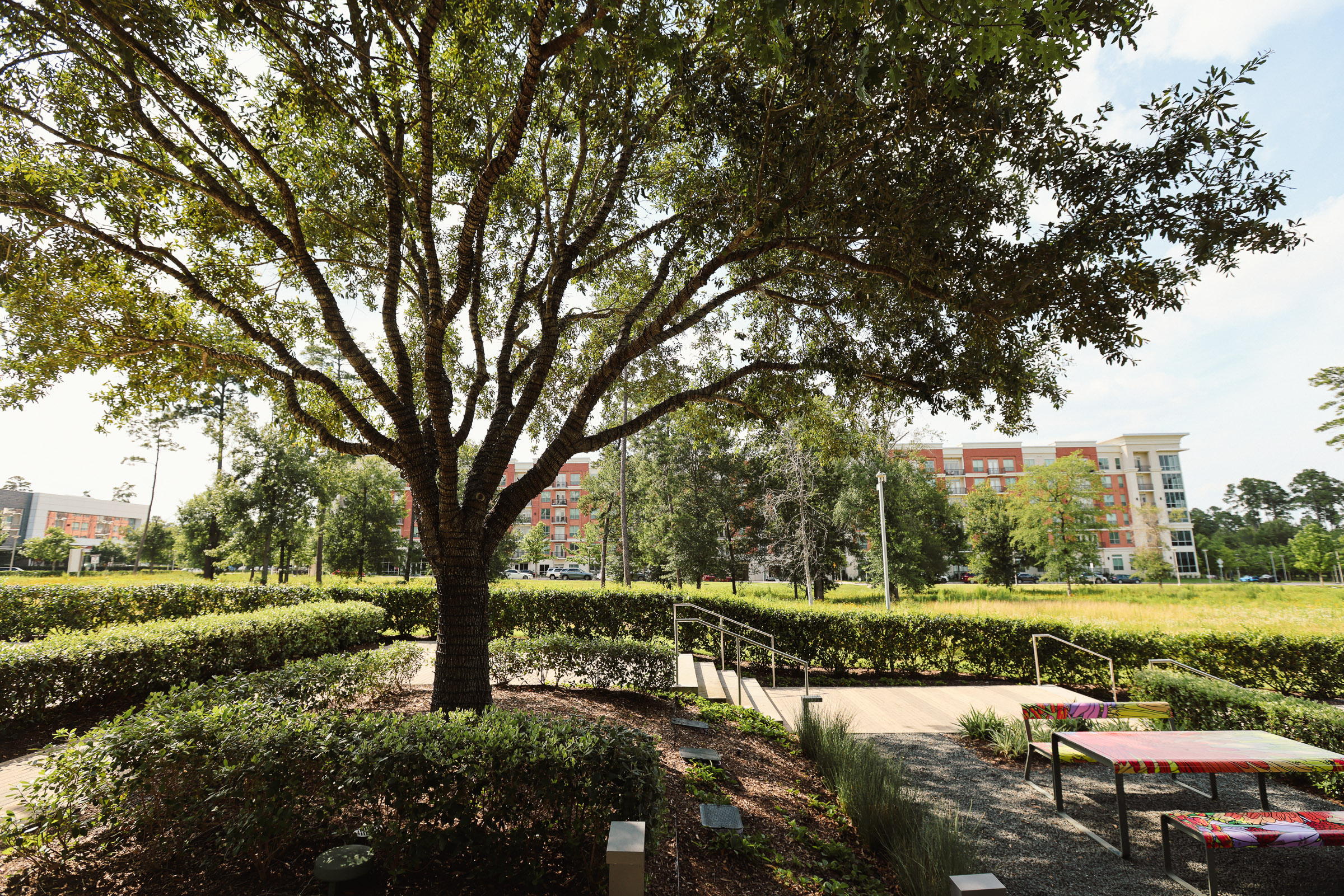 Houston commercial courtyard landscaping maintained by Good Landscaping