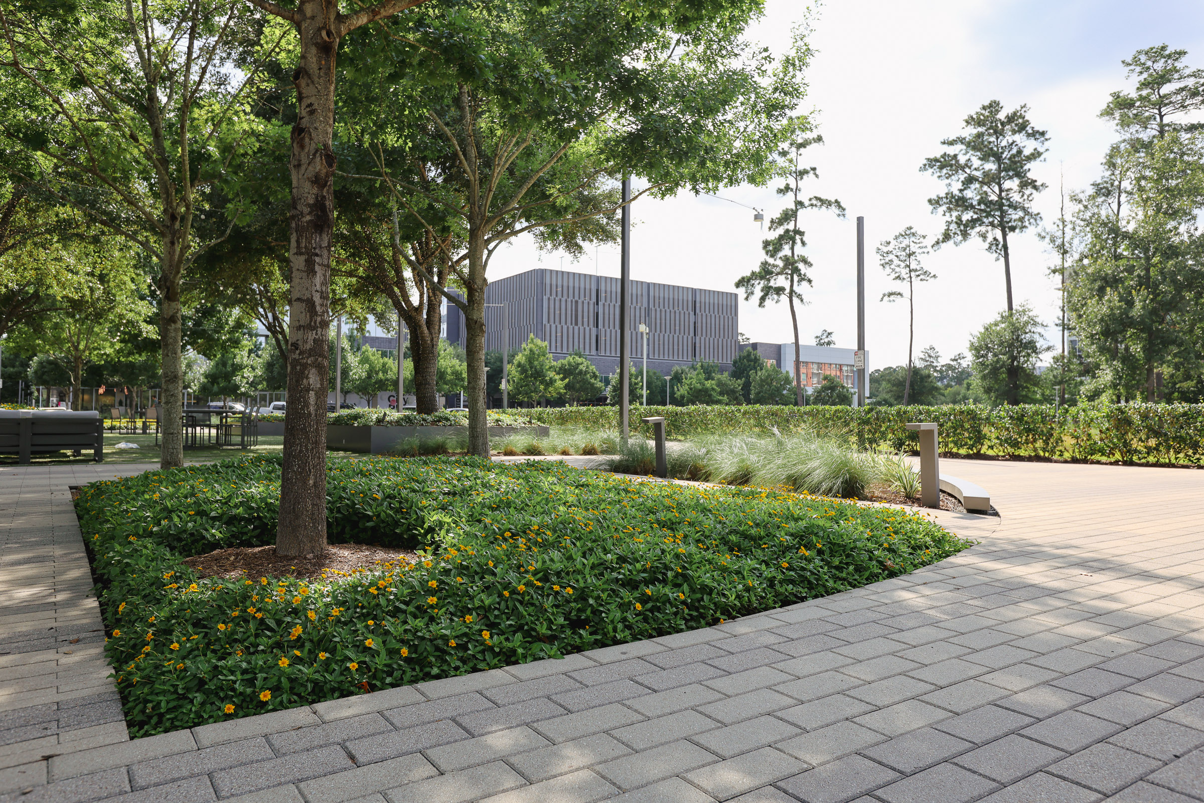 Houston commercial walkway and flower beds maintained by Good Landscaping