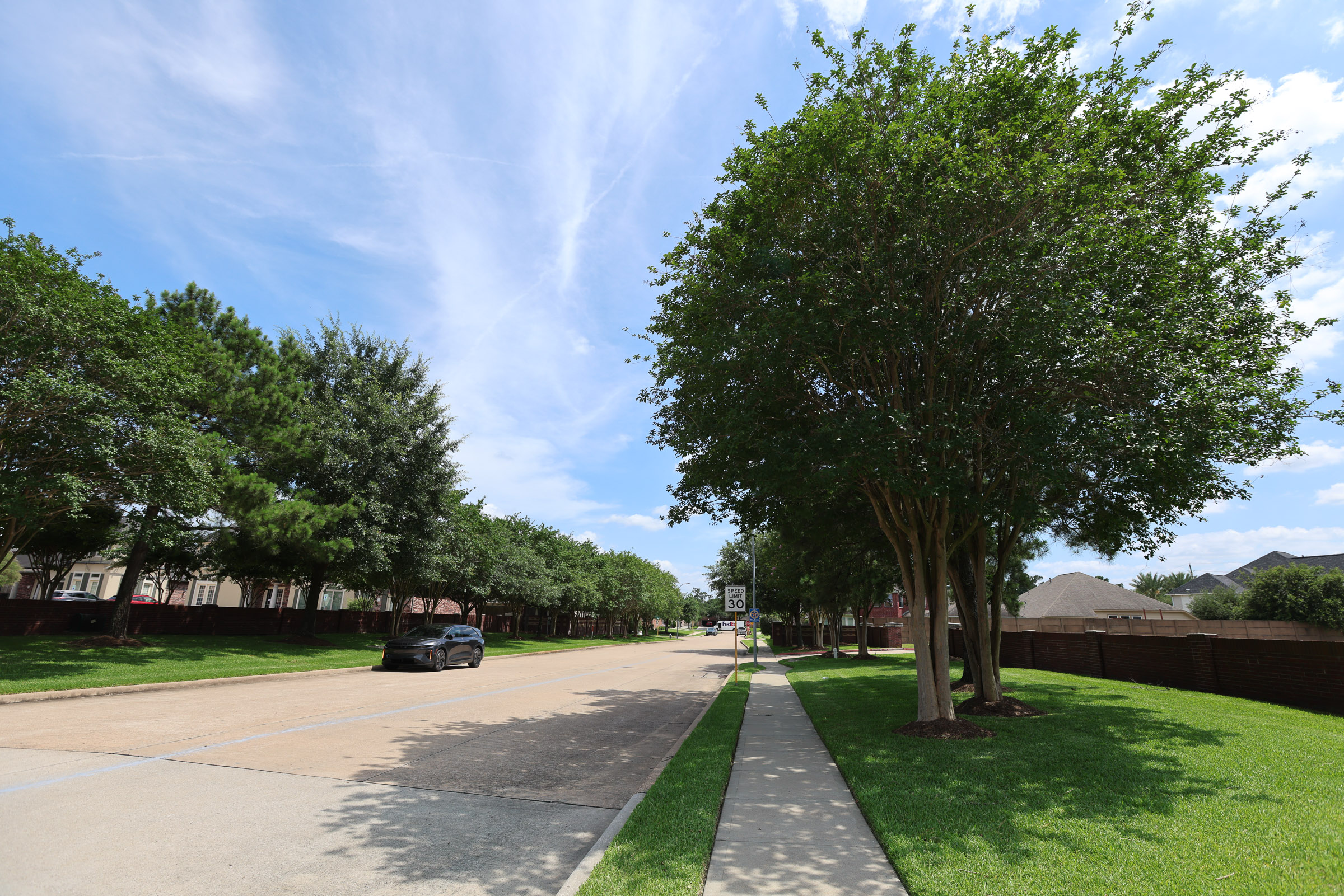 Tree-lined commercial streetscape with clean turf edges