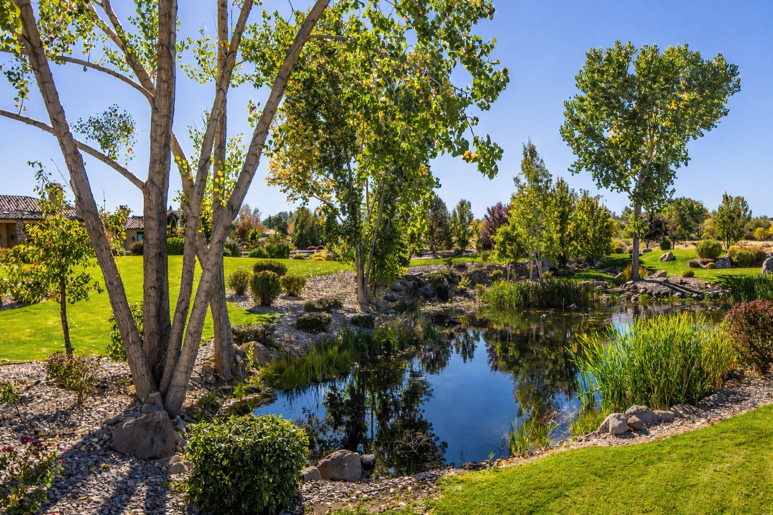 Pond landscape grounds with turf and mature trees