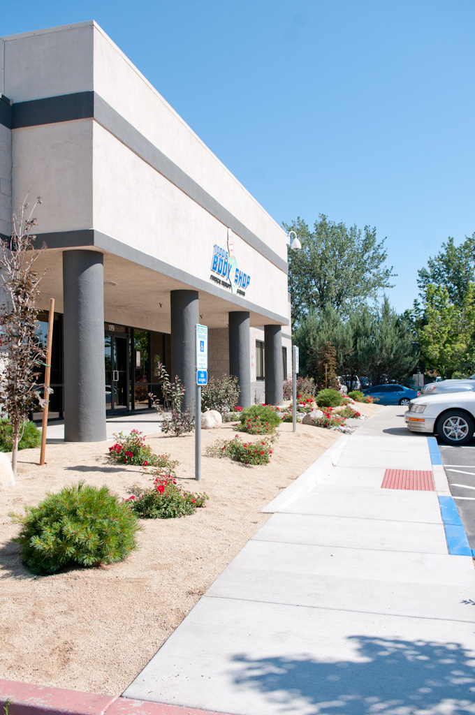 Office entry walkway with maintained planting beds